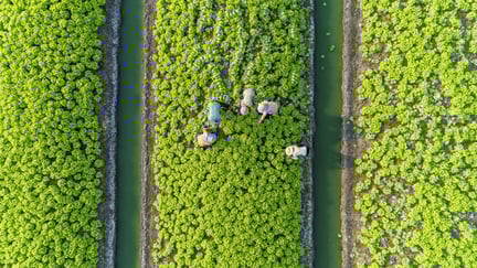 de-ba carbon footprint mobile.jpg