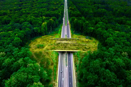 Aerial-view-of-highway-through-forest