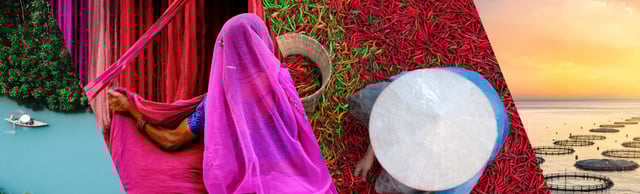 A collage of four scenes — a boat on a turquoise river in a forest, a person in pink fabric against red curtains, a top-down view of chili sorting with a conical hat, and ocean fish farms at sunset with circular nets.